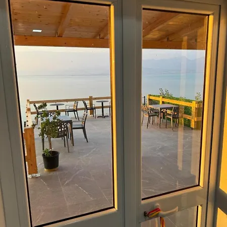 Bujtina E Qilimave Zogaji