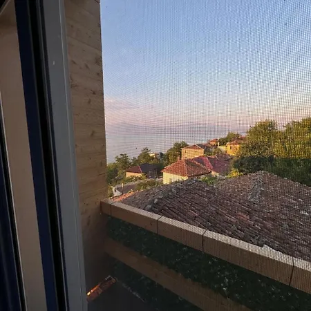 Bujtina E Qilimave *