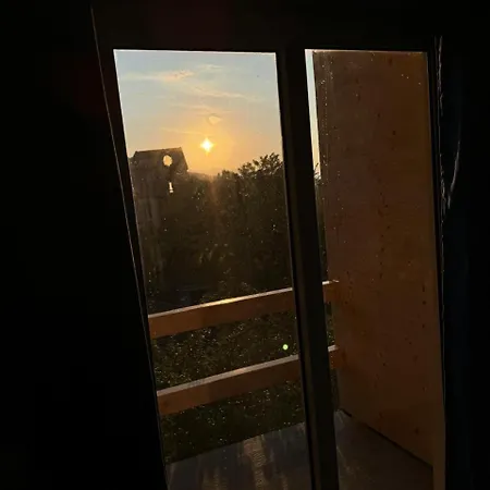 Bujtina E Qilimave Zogaj (Shkoder)