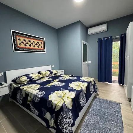 Bujtina E Qilimave Zogaji