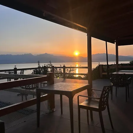 Bujtina E Qilimave Zogaji
